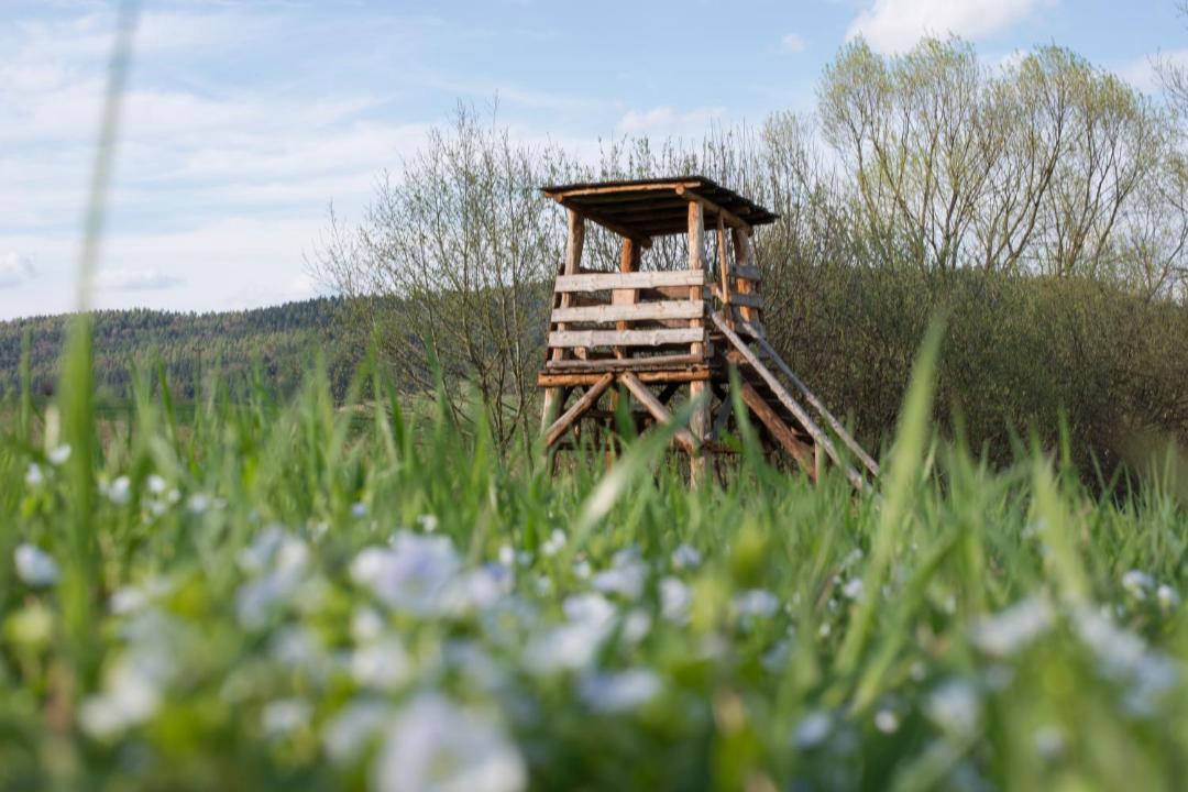 Photo of Others in Rabe