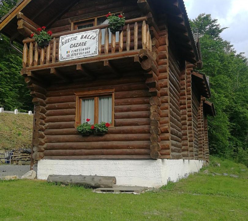 Photo of Others in Cartisoara