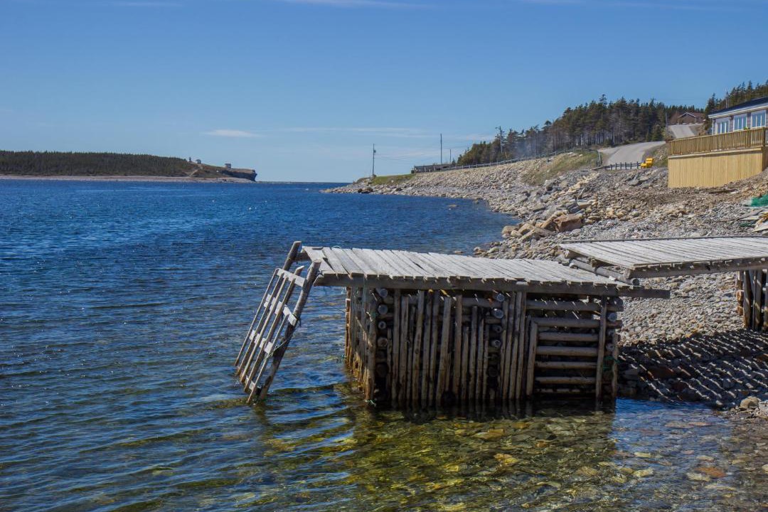 Photo of Others in Port Saunders