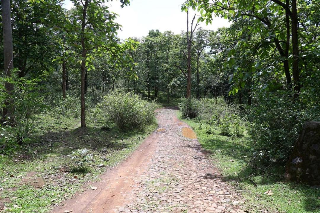 Photo of Outdoor in Kaimane