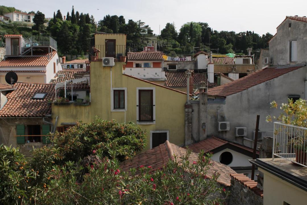 Photo of Others in Piran