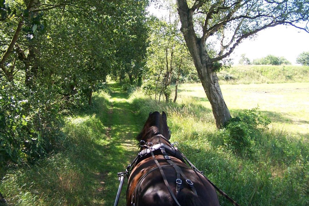 Photo of Outdoor in Ter Apel