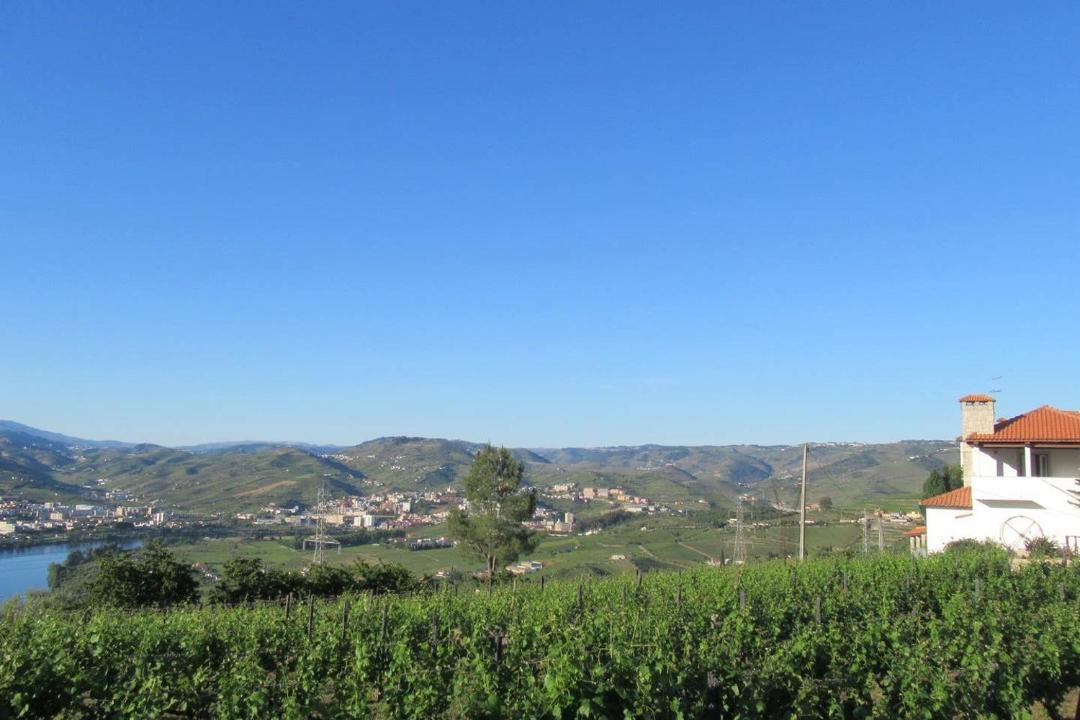 Photo of Others in Lamego
