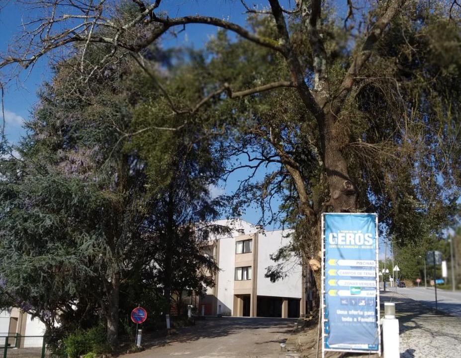 Photo of Buildings in Sao Tiaguinho