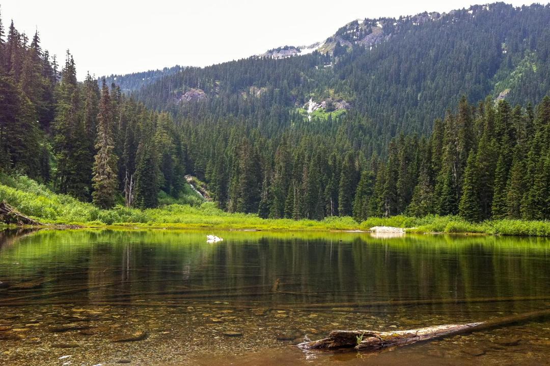 Photo of Others in Hyak