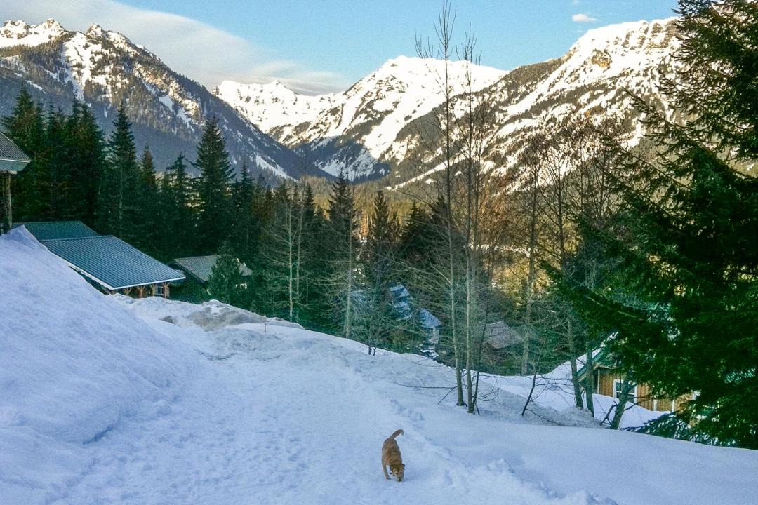 Photo of Others in Hyak