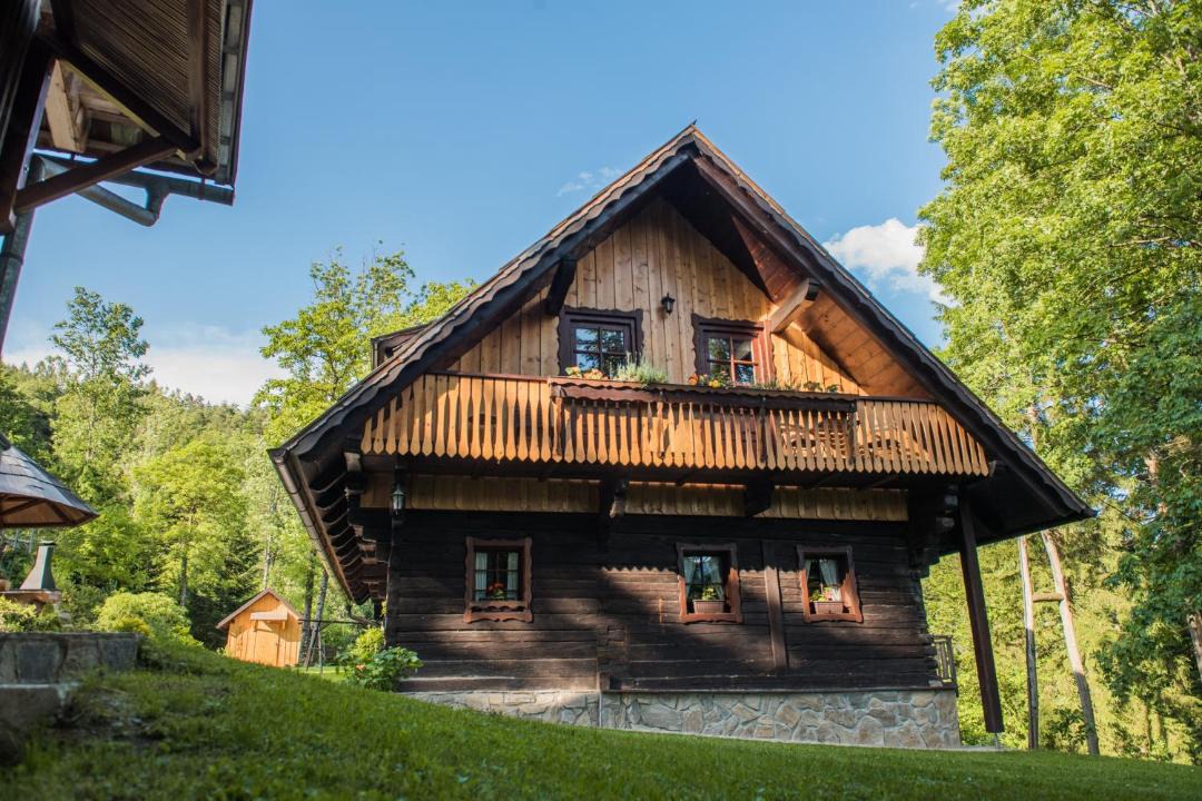 Photo of Others in Pohorje