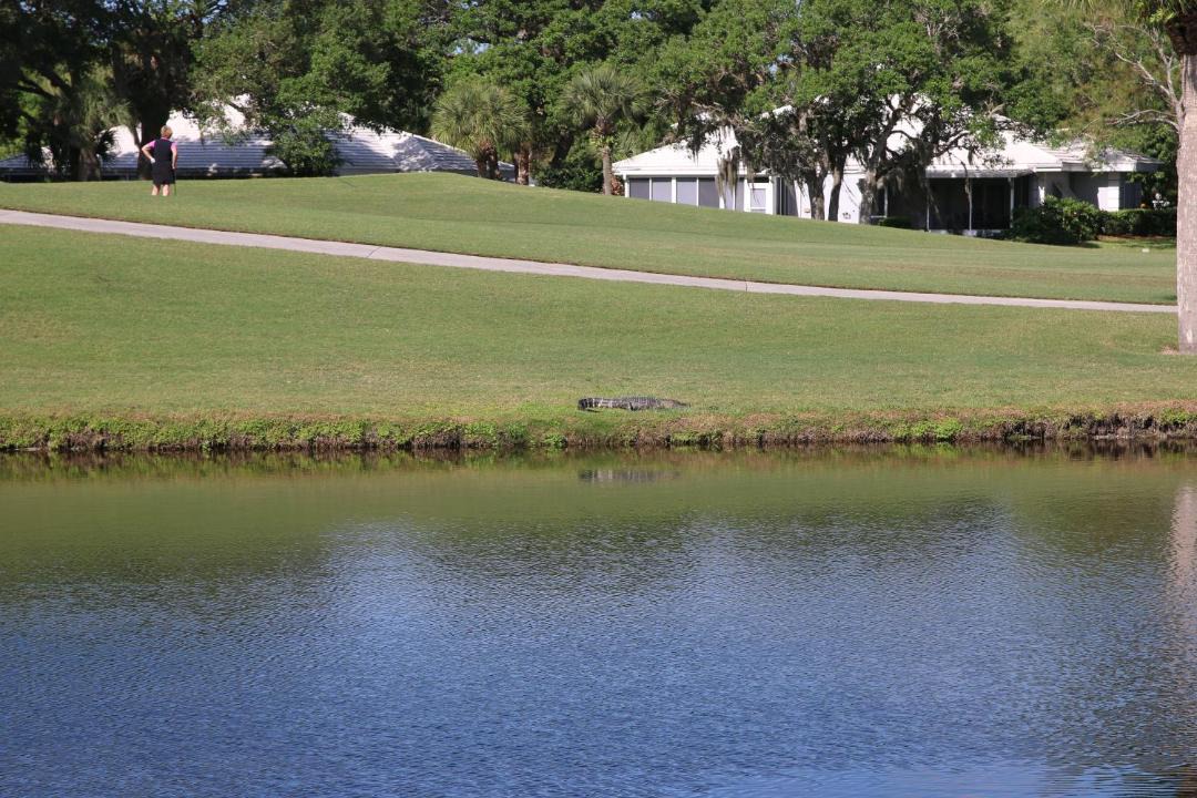 Photo of Outdoor in Plantation