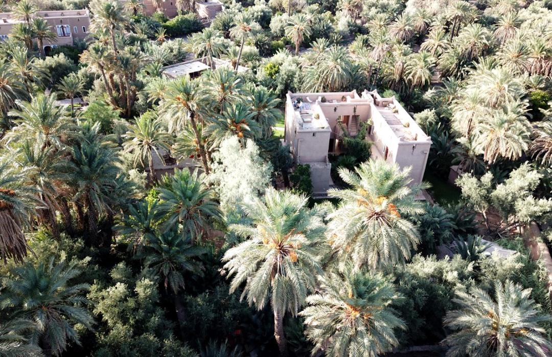 Photo of Others in Skoura