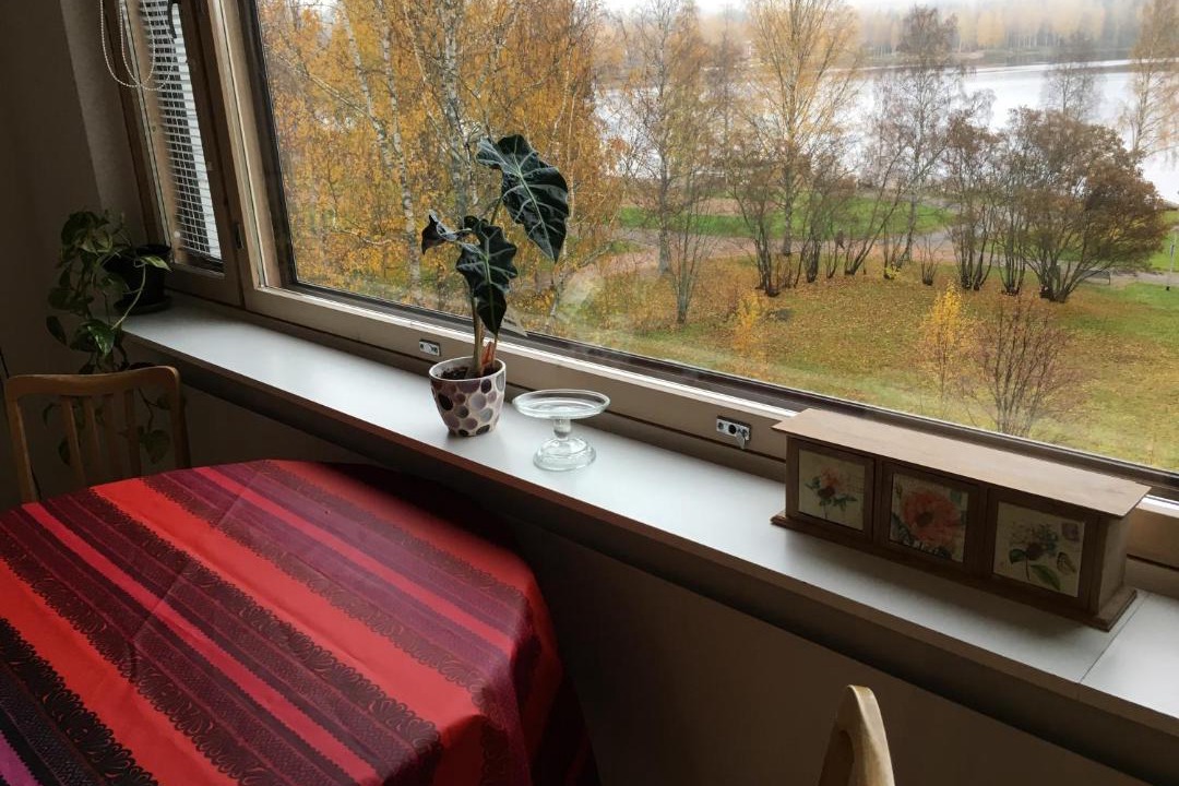 Photo of Others in Aanekoski