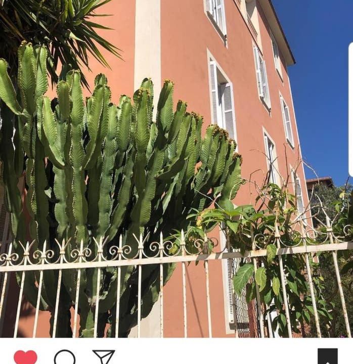 Photo of Others in Ajaccio