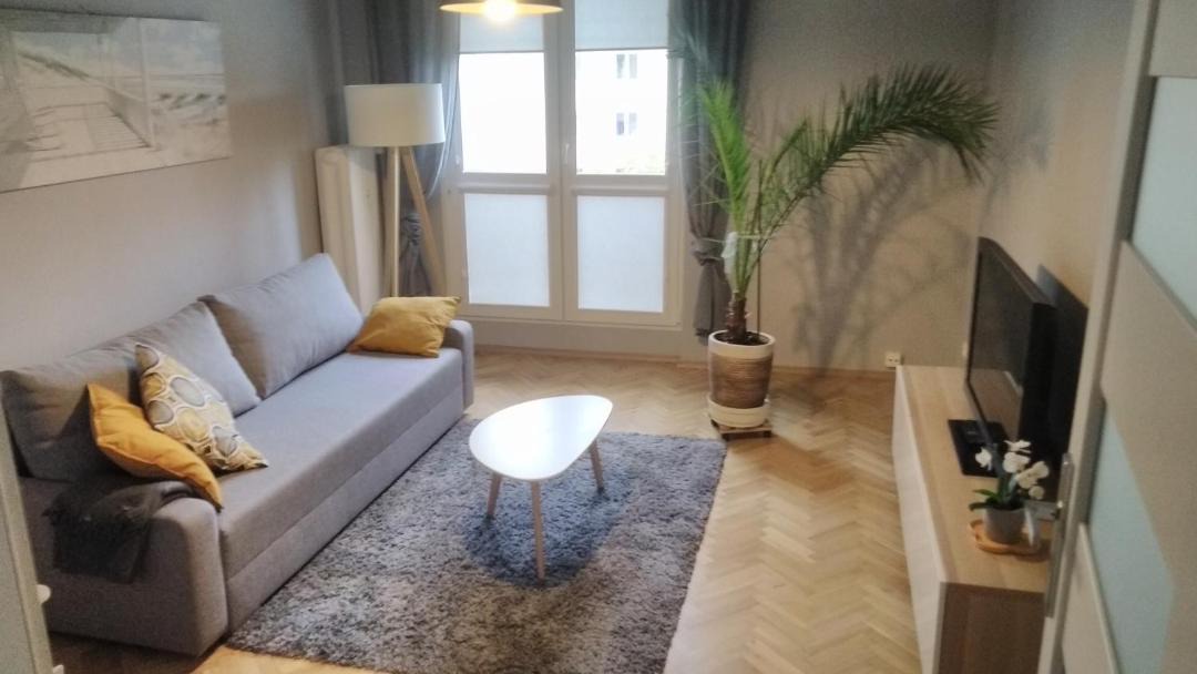 Photo of Livingroom in Torun