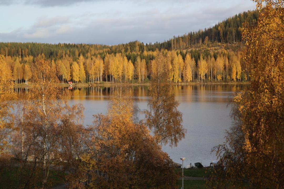 Photo of Others in Aanekoski