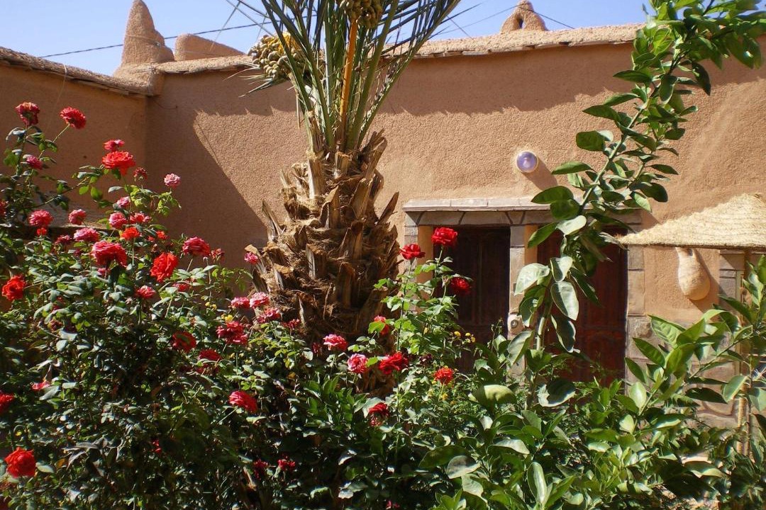 Photo of Others in Nekob