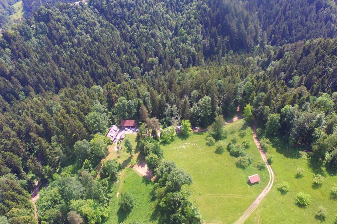 Photo of Others in Pohorje