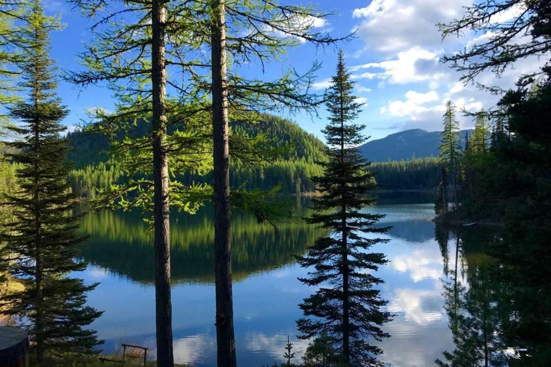 Photo of Outdoor in Columbia Falls
