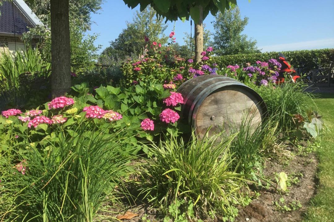 Photo of Outdoor in Zwartemeer