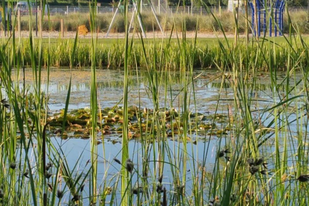 Photo of Outdoor in Gapinge