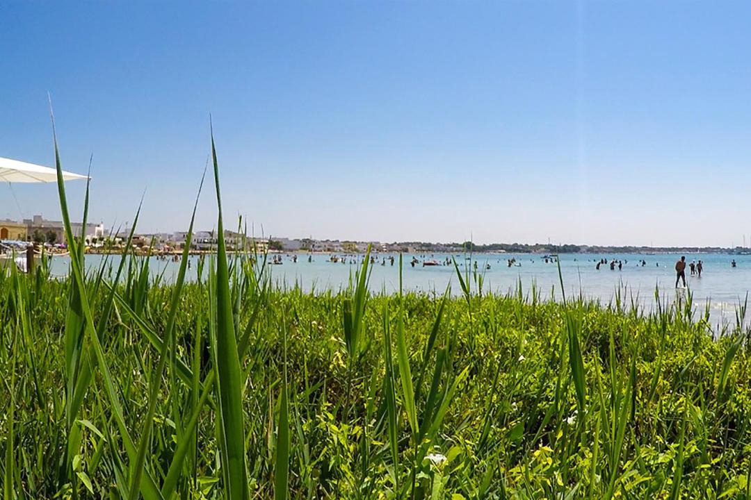 Photo of Outdoor in Porto Cesareo