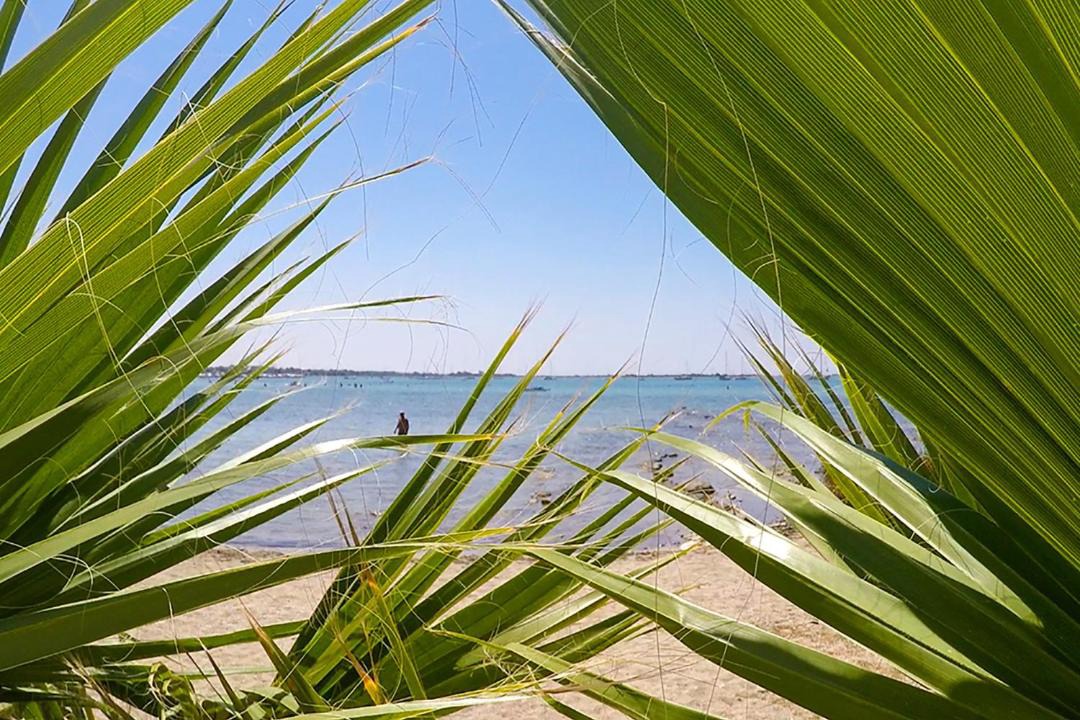 Photo of Others in Porto Cesareo
