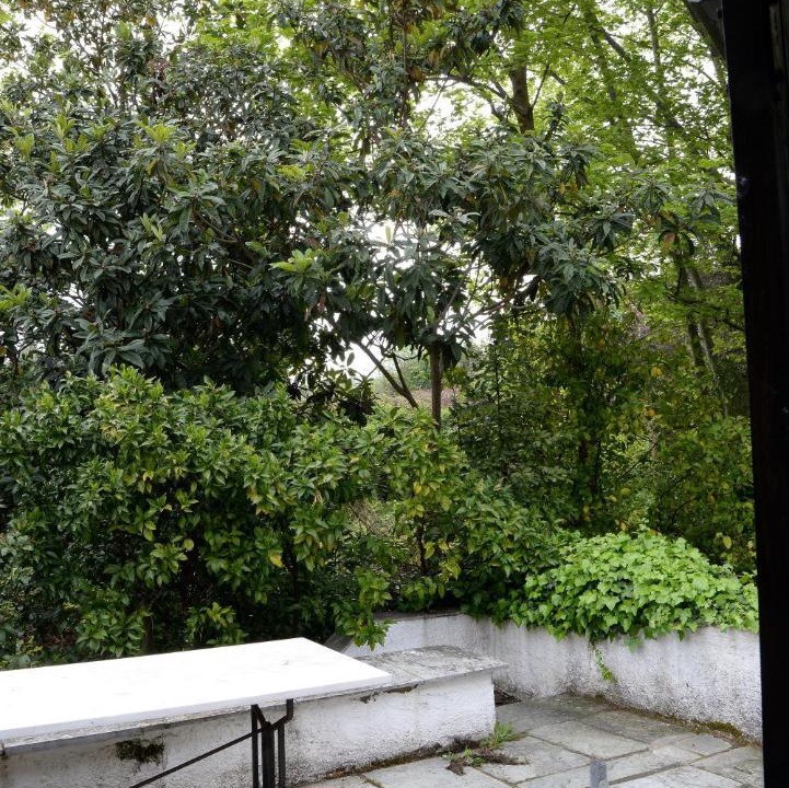 Photo of Patio Balcony in Zagora-Mouresi