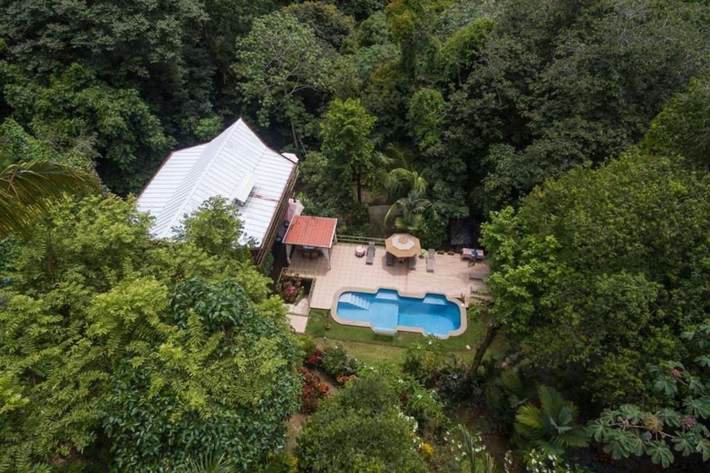Photo of Outdoor in Manuel Antonio