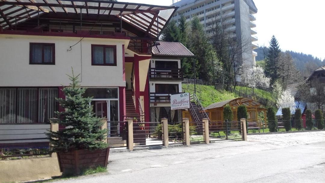 Photo of Buildings in Voineasa