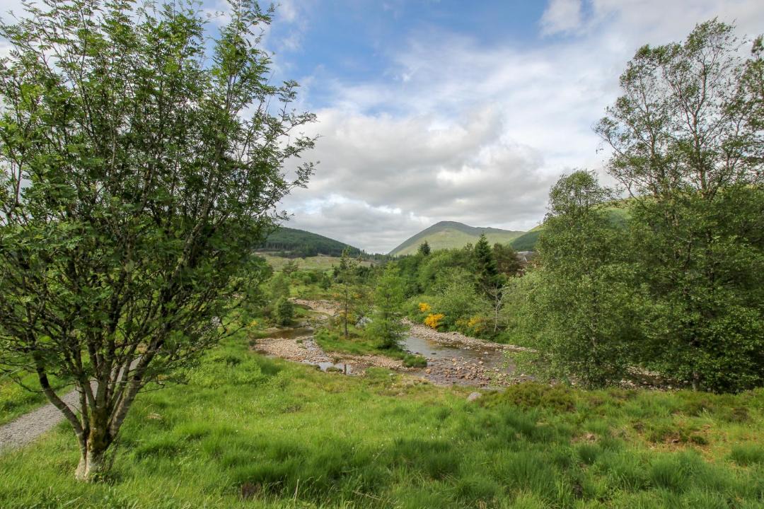 Photo of Others in Tyndrum