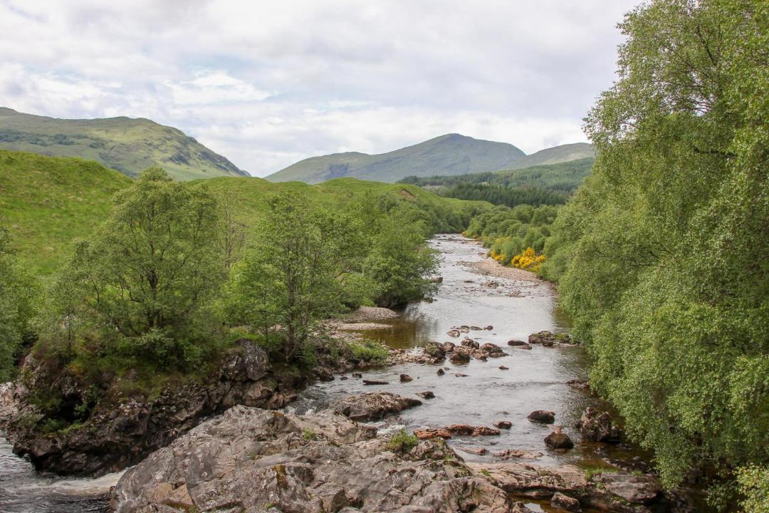 Photo of Others in Tyndrum