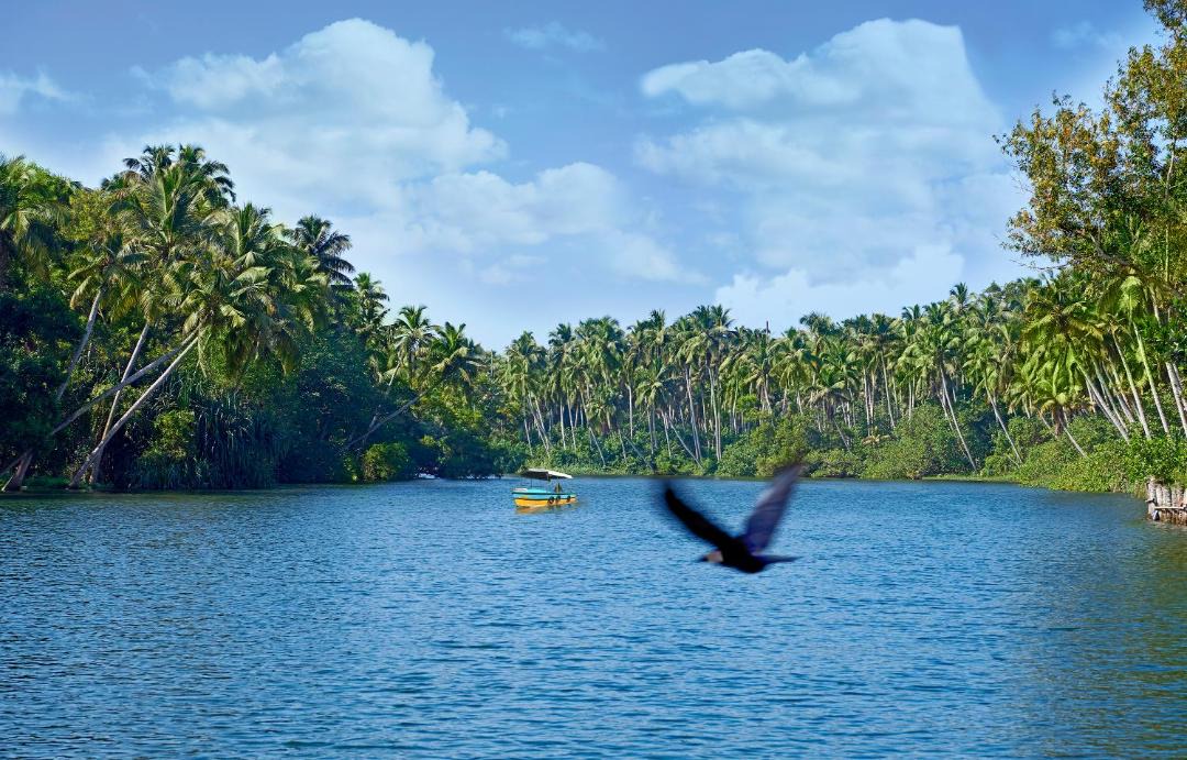 Photo of Others in Poovar