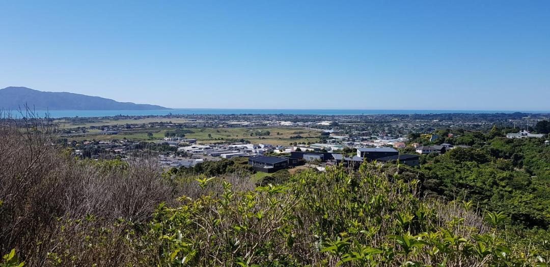 Photo of Others in Paraparaumu