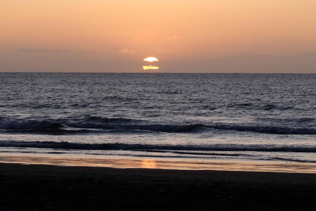Photo of Others in Paraparaumu