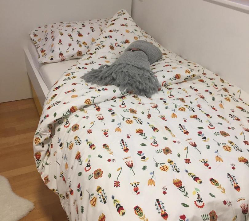 Photo of Bedroom in Mojstrana