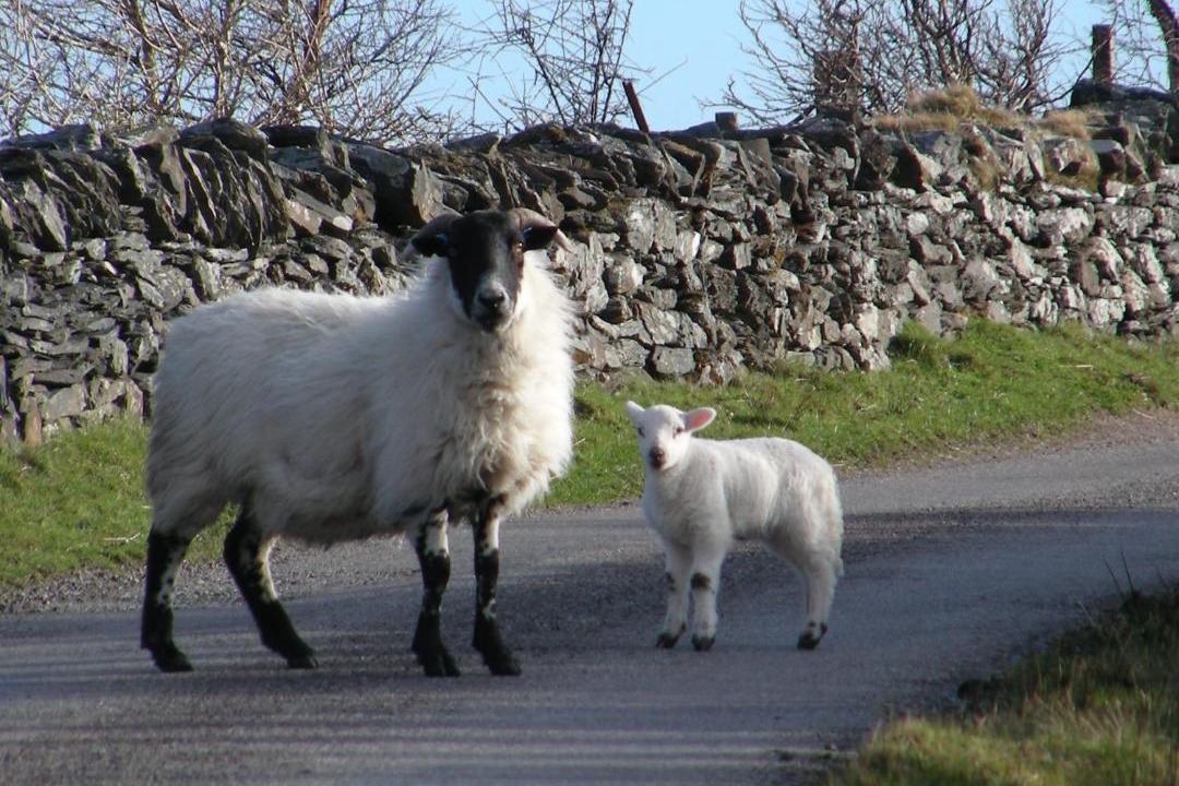 Photo of Others in Slate Islands