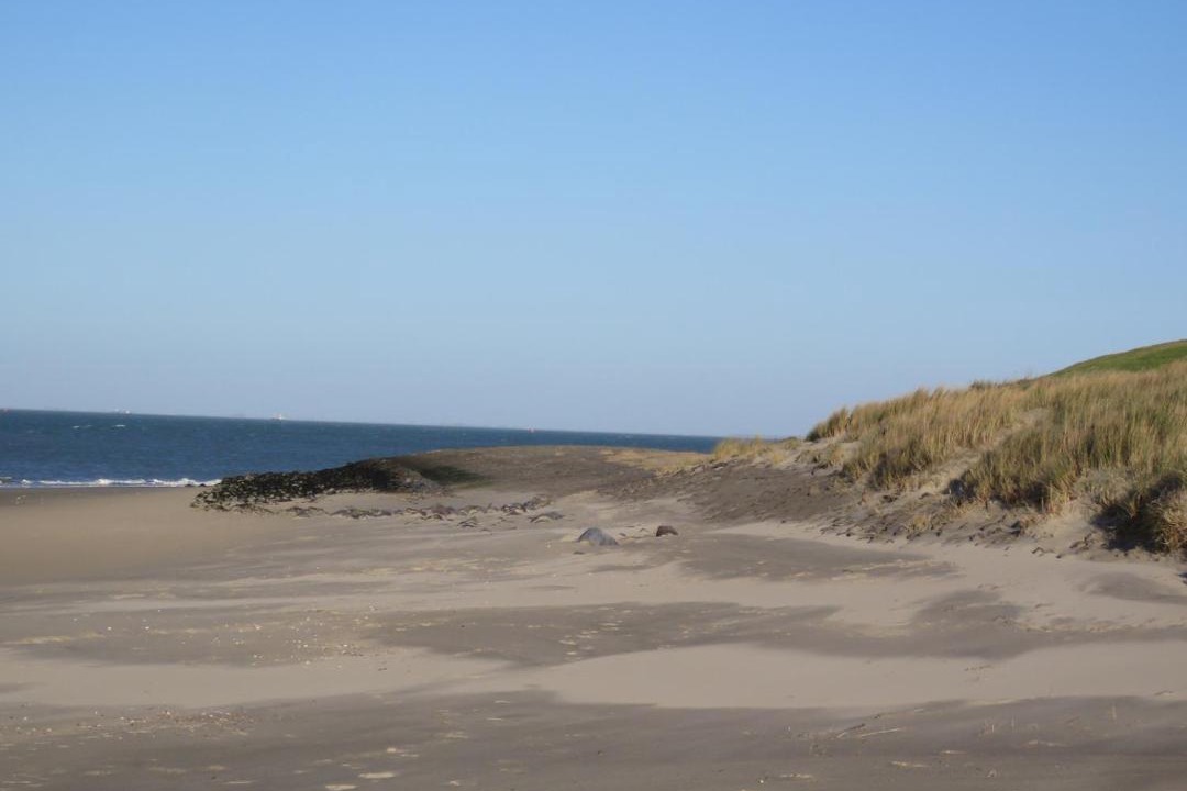 Photo of Outdoor in Kamperland