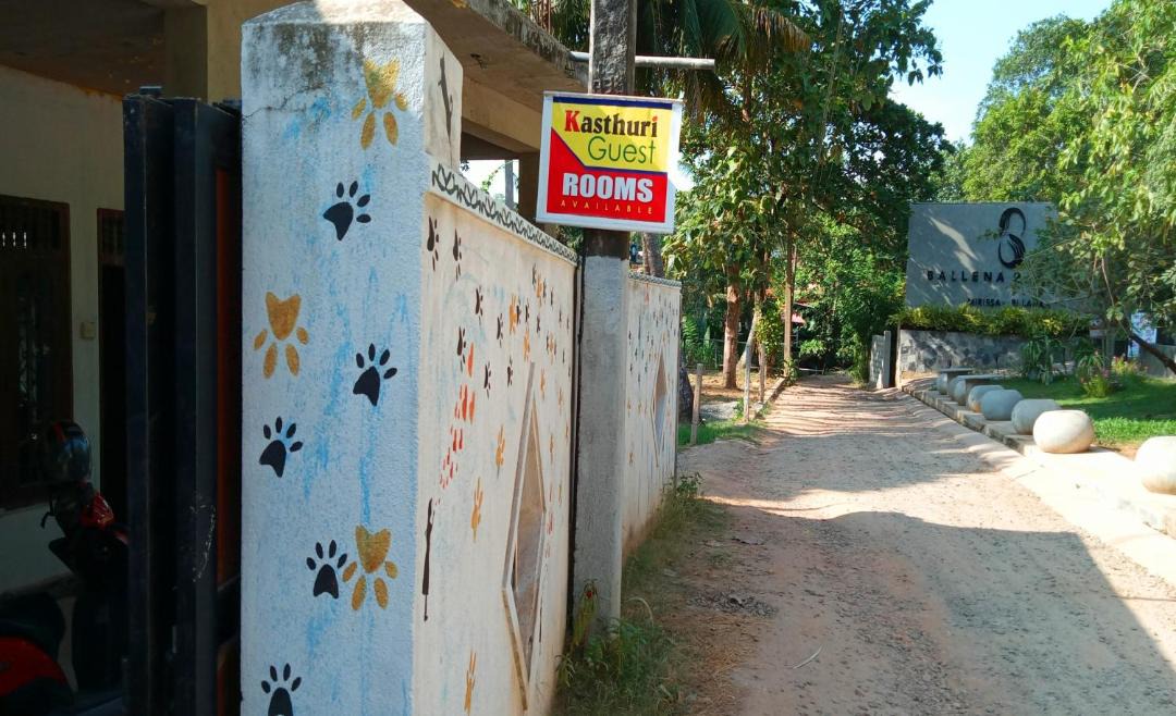 Photo of Others in Mirissa