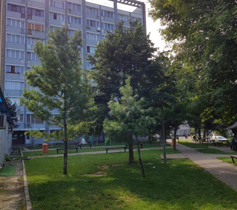 Photo of Others in Piatra Neamt
