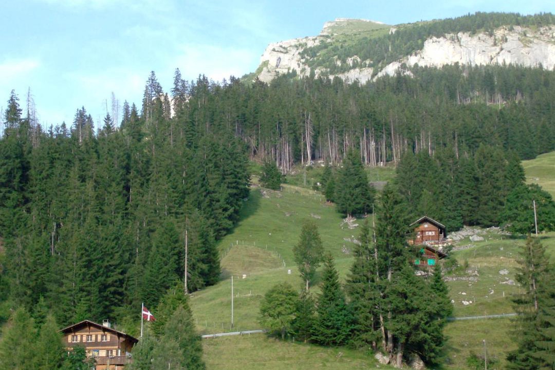 Photo of Others in Achsete