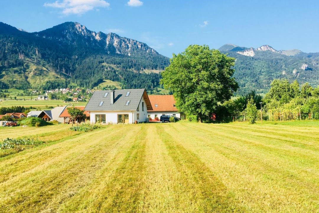 Photo of Others in Mojstrana