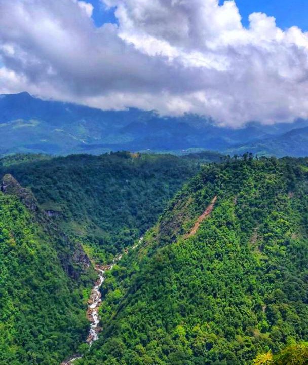 Photo of Outdoor in Kalpetta