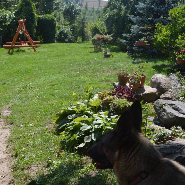 Photo of Others in Gizycko