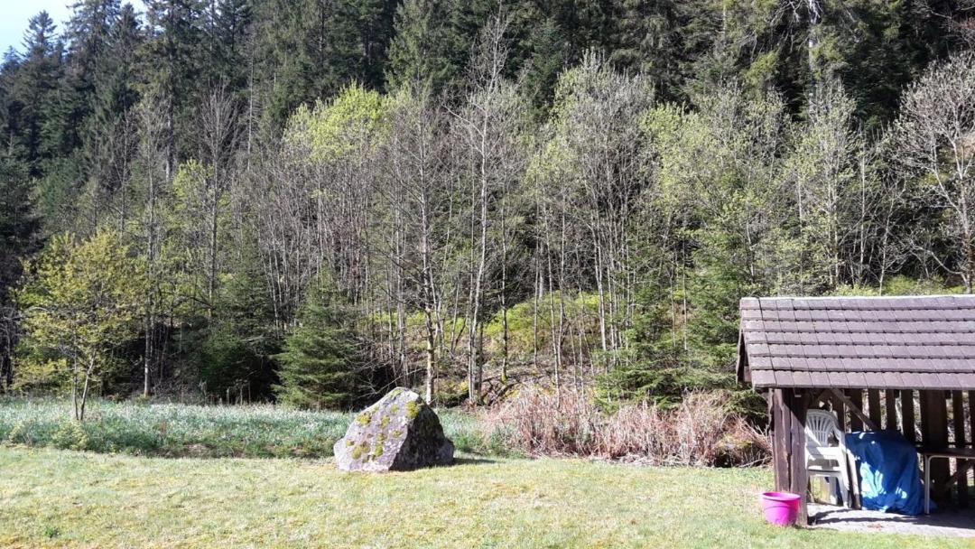 Photo of Others in Gerardmer