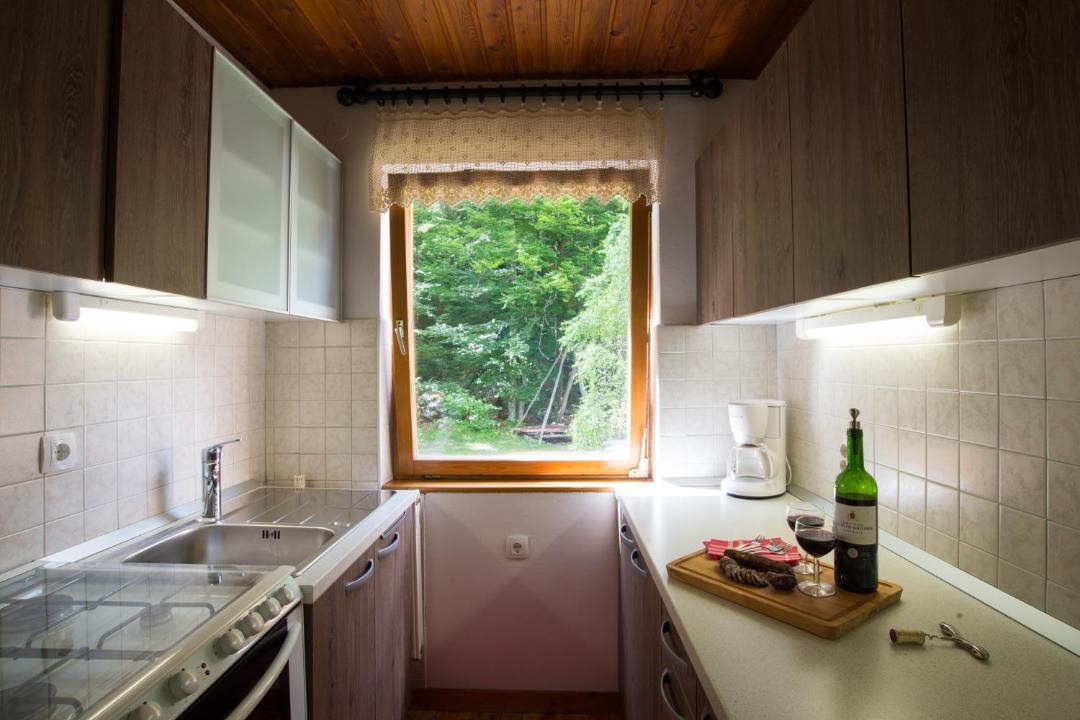 Photo of Kitchen in Mojstrana