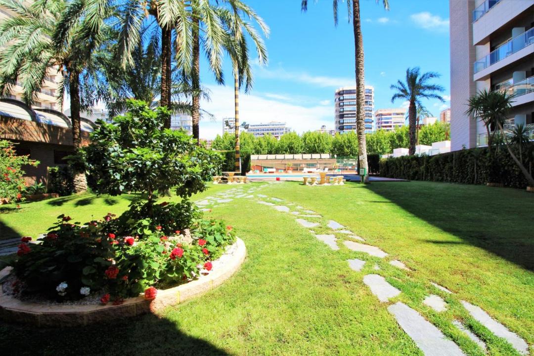 Photo of Others in Benidorm Centro