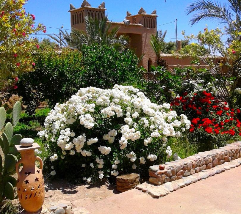 Photo of Others in Skoura