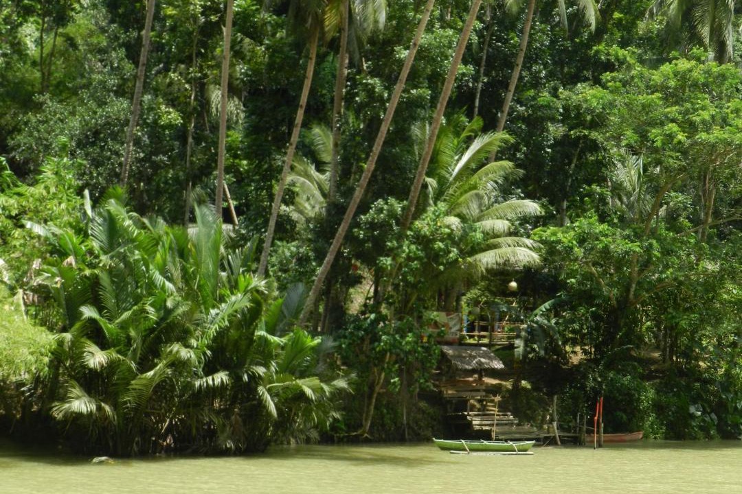 Photo of Others in Loboc