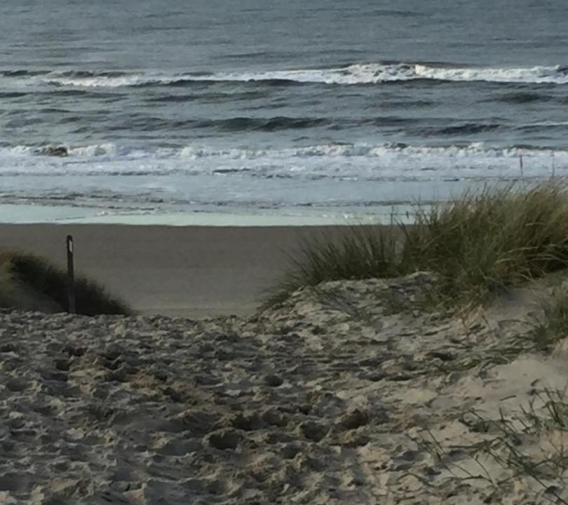 Photo of Others in Municipality of Texel