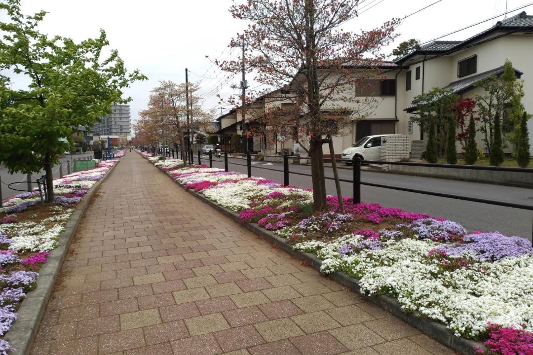 Photo of Others in Katamachi