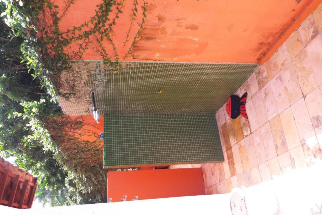 Photo of Others in Pirangi do Sul