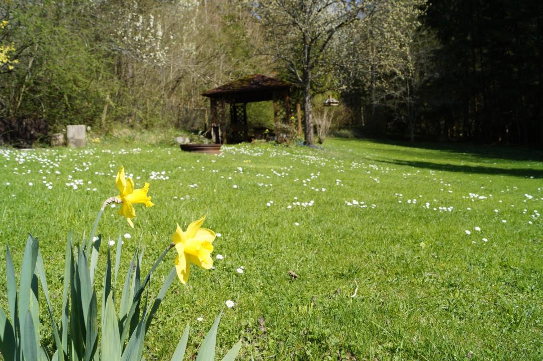 Photo of Others in Pfeffingen